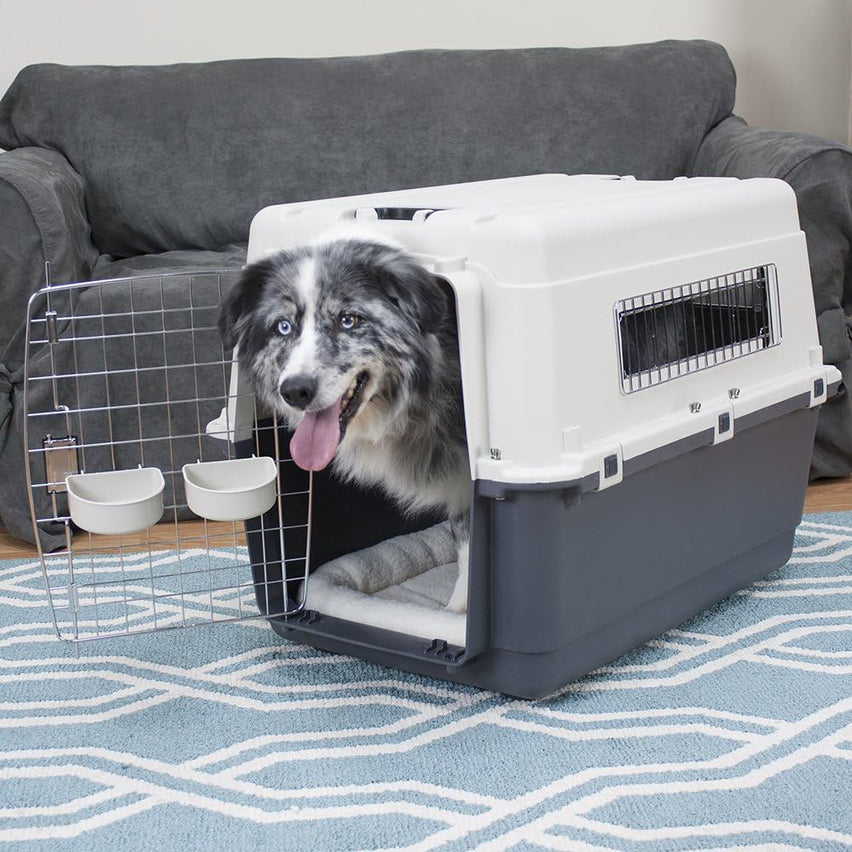 SportPet Designs Plastic Kennels Rolling Plastic Airline Approved Wire Door Travel Dog Crate, XXX-Large, Gray