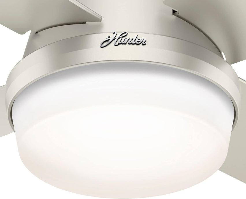 Hunter Fan Company Dempsey Low Profile Indoor / Outdoor Ceiling Fan with LED Light and Remote Control, 44", Matte Nickel