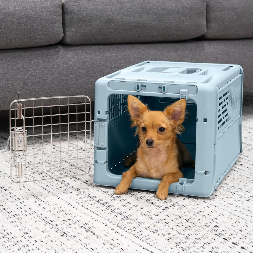 SportPet Designs Plastic Kennels Rolling Plastic Airline Approved Wire Door Travel Dog Crate, XXX-Large, Gray