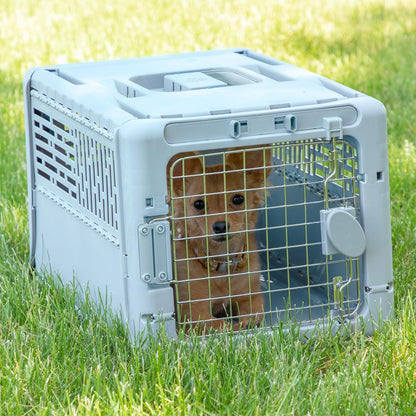 SportPet Designs Plastic Kennels Rolling Plastic Airline Approved Wire Door Travel Dog Crate, XXX-Large, Gray