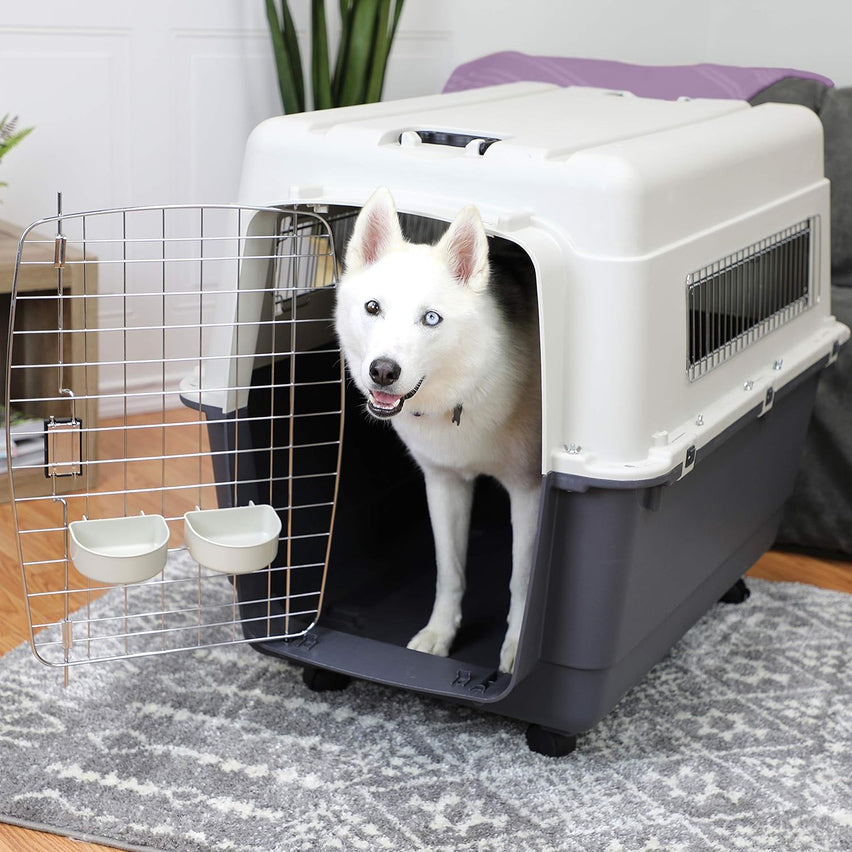 SportPet Designs Plastic Kennels Rolling Plastic Airline Approved Wire Door Travel Dog Crate, XXX-Large, Gray